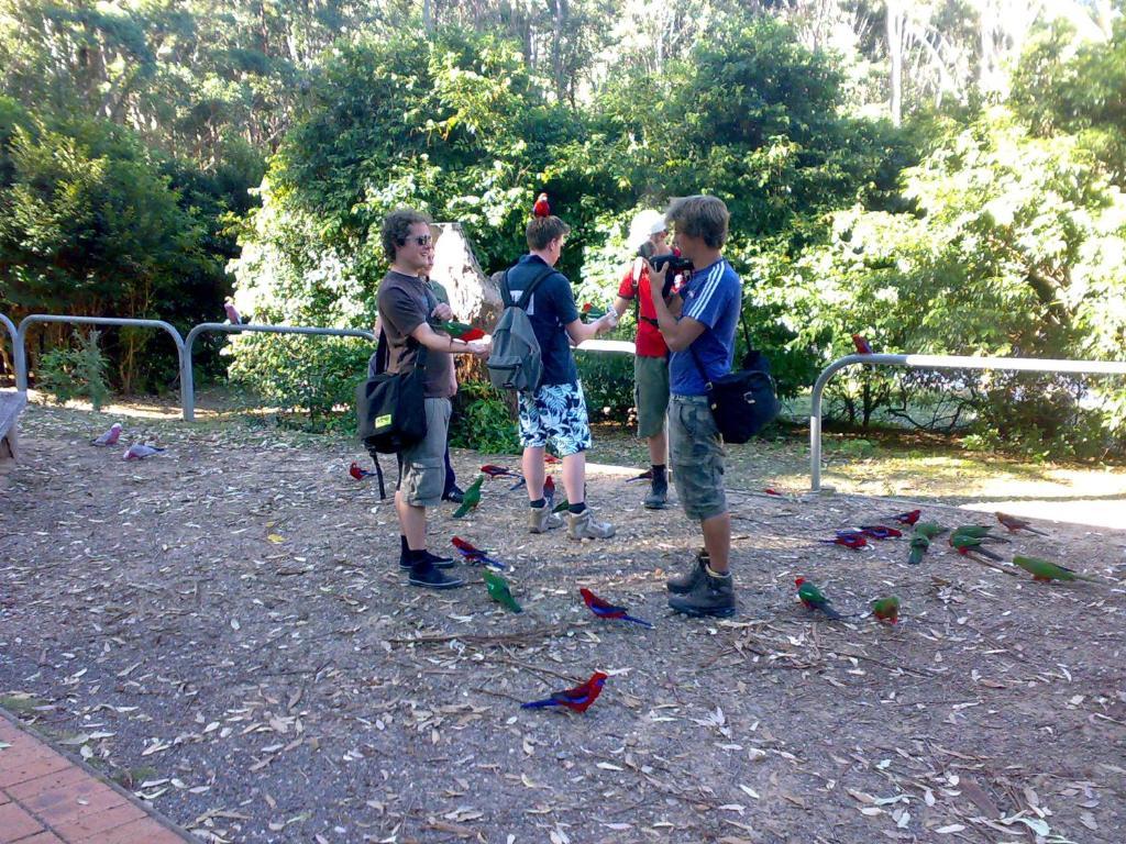 Batemans Bay Holiday Park & Hostel Екстер'єр фото